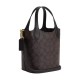 Hanna Iconic Coated Canvas With Smooth Leather Crossbody One Shoulder Handbag Small Women S Gold Brown Black