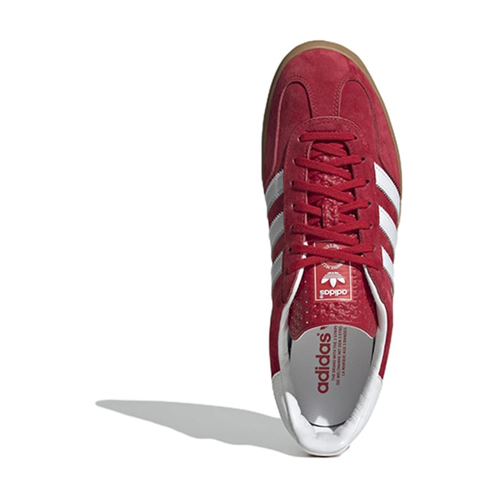 Gazelle Indoor Scarlet Gum