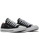 Chuck Taylor All Star Floral Embroidery