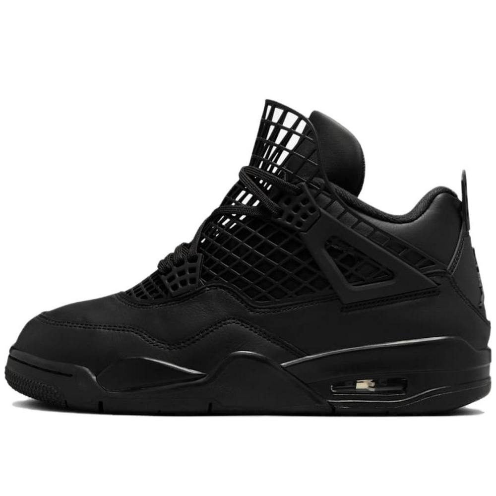 Air Jordan 4 Net Black