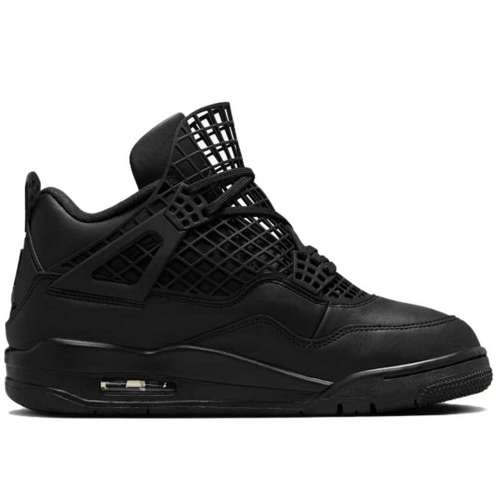 Air Jordan 4 Net Black