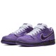 Dunk Low Sb Concepts Purple Lobster