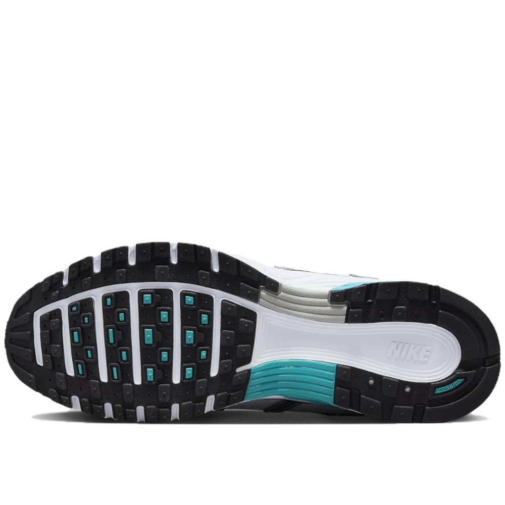 P 6000 Dusty Cactus