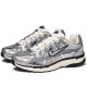 P 6000 Metallic Silver