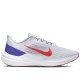 Air Zoom Winflo 9 Grey Concord