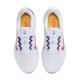 Air Zoom Winflo 9 Grey Concord