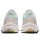 Air Zoom Winflo 9 Premium Back In A Wink Women