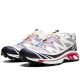 XT-6 Gore-Tex Kith Moonscape
