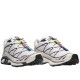 XT-6 White Vanilla Ice Plum