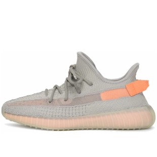 Yeezy Boost 350 V2 True Form